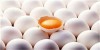 قیمت مرغ و تخم مرغ  در بازار | اختلاف ۱۱ هزار تومانی قیمت تخم مرغ با نرخ مصوب